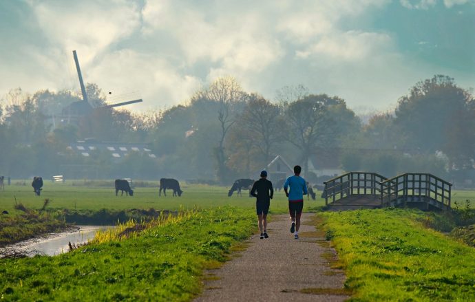 Nederlandse identiteit basisverzekering